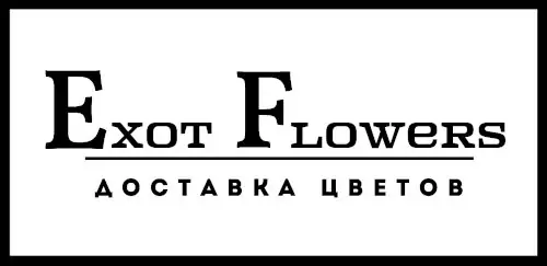 Логотип Exot Flowers