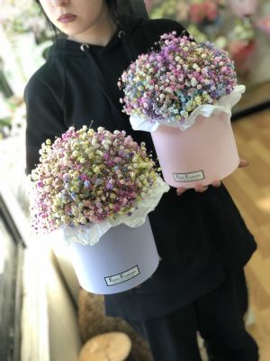 Коробочка гипсофилы купить цветы, букеты с доставкой